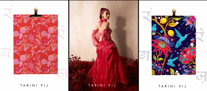 TARINI VIJ Main Image